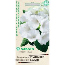 Глоксиния Аванти белая F1, 4 шт, Гавриш, Элитные сорта и гибриды, Sakata