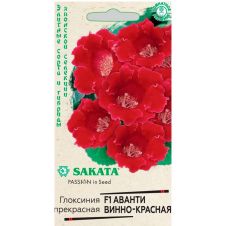 Глоксиния Аванти винно-красная F1, 4 шт, Гавриш, Элитные сорта и гибриды, Sakata