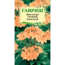 Кроссандра Тропик красная, 3 шт, Гавриш, Цветочная коллекция