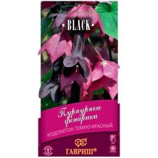 Родохитон Пурпурные фонарики, 4 шт, Гавриш, Black