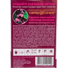 Родохитон Пурпурные фонарики, 4 шт, Гавриш, Black