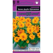 Цинния Белиз Даубл оранжевая, 5 шт, Гавриш, Эксклюзив