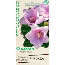 Платикодон (Ширококолокольчик) Исида F1, 4 шт, Гавриш, Элитные сорта и гибриды, Sakata