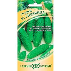 Огурец Гирлянда F1 Гавриш Семена от автора