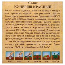 Салат листовой Кучеряш красный, 0,5 г, Гавриш, Семена от автора