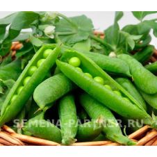 Горох овощной СОМЕРВУД F1 5 г Партнер
