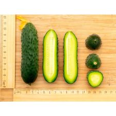 Огурец ДРУЖНЫЙ F1 10 шт Партнер