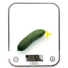 Огурец ДРУЖНЫЙ F1 10 шт Партнер