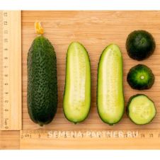 Огурец МОНОЛИТ F1 5 шт Партнер