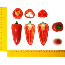 Перец НИККИ F1 5 шт Партнер