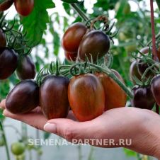 Томат АТОМНЫЙ виноград БРЕДА 0,05 г Партнер