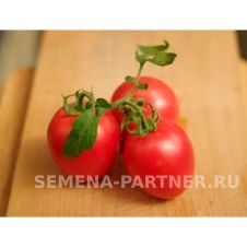 Томат КАМЕЛОТ F1 5 шт Партнер