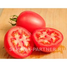 Томат КАМЕЛОТ F1 5 шт Партнер
