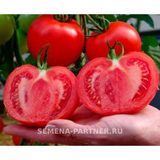 Томат КОЛОРИТ F1 10 шт Партнер