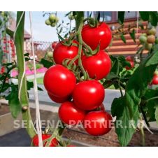 Томат МИРАНДАЛИНА F1 10 шт Партнер