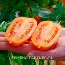 Томат СИЕСТА F1 0,05 г Партнер