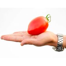 Томат ФУКС F1 10 шт Партнер