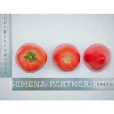 Томат ФУКС F1 10 шт Партнер