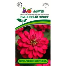 Цинния мариландская махровая ВИШНЕВЫЙ ПИРОГ 5 шт Партнер