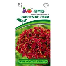Колеус шлемниковидный КРИСТМАС СТАР 5 шт серия КОЛОРИТ ПРЕМИУМ Партнер