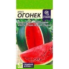 Арбуз Огонек 1 г Семена Алтая
