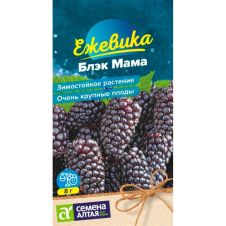 Ежевика Блэк Мама крупноплодная, 0,03 г, Семена Алтая