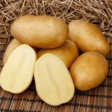 Картофель Импала 0,02 г Семена Алтая