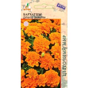 Бархатцы Дуранго Танжерин, 10 шт.