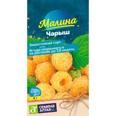 Малина Чарыш желтая 0,3 г Семена Алтая