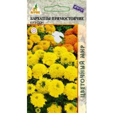 Бархатцы Купидон, 0,3 гр.