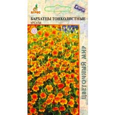 Бархатцы Урсула тонколист., 0,1 гр.