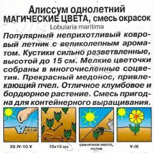 Алиссум Магические цвета смесь окрасок, 0,1 г Аэлита