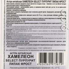 Астра китайская Хамелеон SELECT Пурпурит Лилак Фрост 30 шт Биотехника