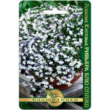 Лобелия кустовая Ривьера Блю Сплэш 10 шт Биотехника