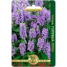 Непета Голубая луна 8 шт Биотехника