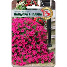 Петуния каскадная Пандора F1 Парпл 5 шт Биотехника