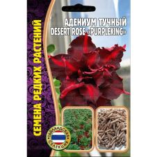 Адениум тучный Desert Rose PurpleKing 3 шт Редкие семена
