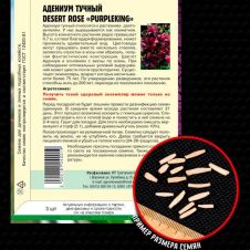 Адениум тучный Desert Rose PurpleKing 3 шт Редкие семена