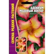 Адениум Медовый Нектар 3 шт Редкие семена