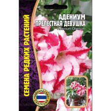 Адениум Прелестная Девушка 3 шт Редкие семена