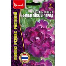 Адениум тучный Фиолетовый Город 3 шт Редкие семена