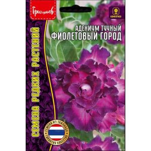 Адениум тучный Фиолетовый Город 3 шт Редкие семена
