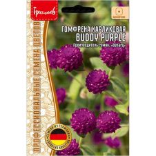 Гомфрена карликовая Buddy Purple 5 шт Редкие семена