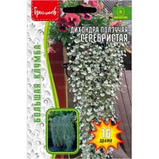 Дихондра Серебристая ползучая 10 шт Редкие семена