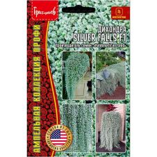 Дихондра Silver Falls F1 3 шт Редкие семена