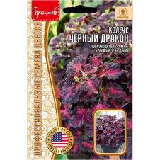 Колеус Черный Дракон 10 шт Редкие семена
