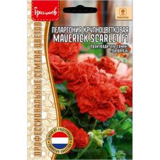 Пеларгония крупноцветковая Maverick Scarlet F1 3 шт Редкие семена