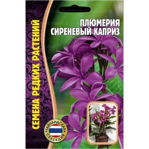 Плюмерия (франжипани) Сиреневый Каприз 3 шт Редкие семена