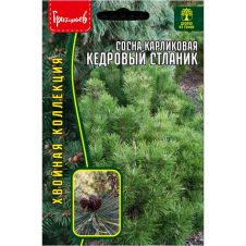 Сосна карликовая Кедровый Стланик 5 шт Редкие семена