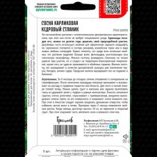 Сосна карликовая Кедровый Стланик 5 шт Редкие семена
